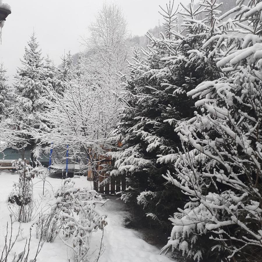 Cabana Ancutei Rucăr Exterior foto