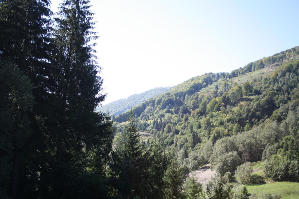 Cabana Ancutei Rucăr Exterior foto
