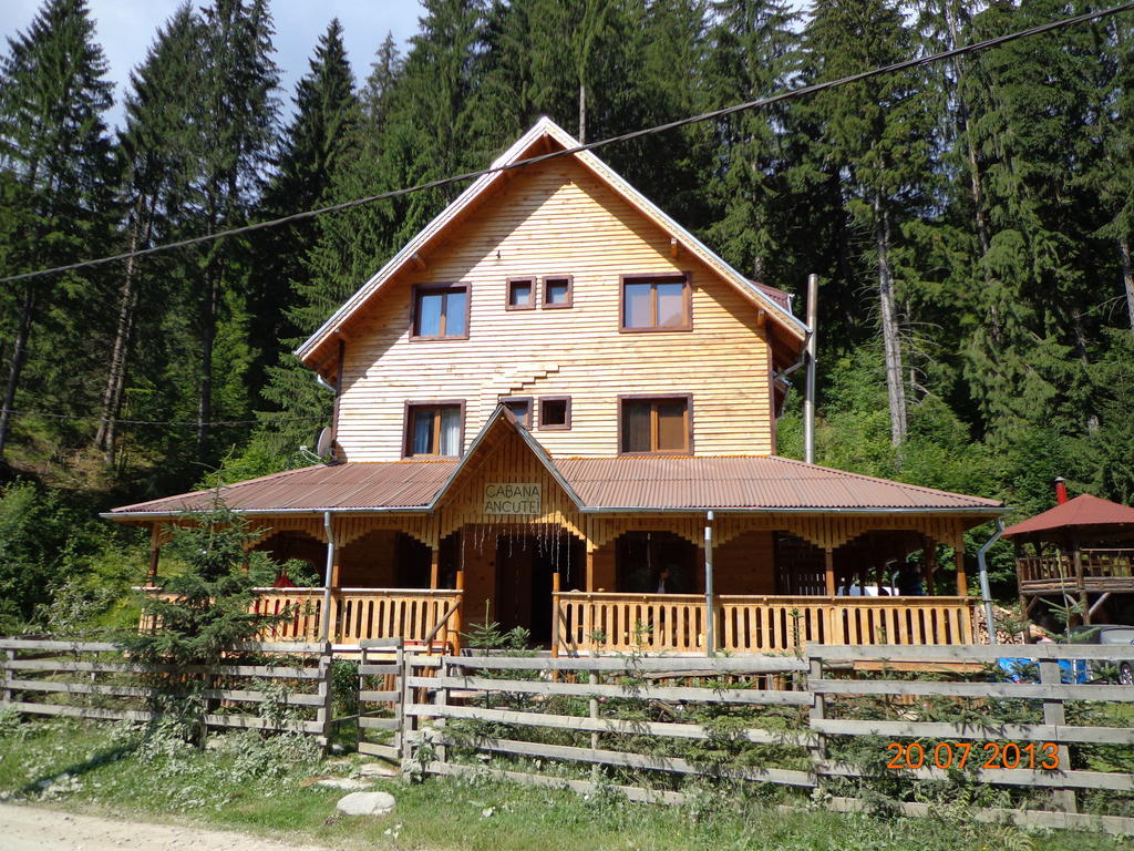 Cabana Ancutei Rucăr Exterior foto